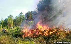 Chỉ thị về việc tăng cường công tác quản lý bảo vệ rừng và phòng cháy, chữa cháy rừng mùa khô năm 2021-2022