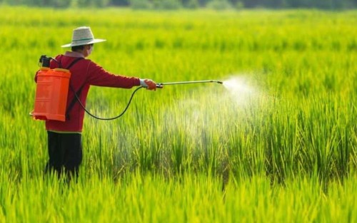 Điều kiện sản xuất, buôn bán thuốc bảo vệ thực vật