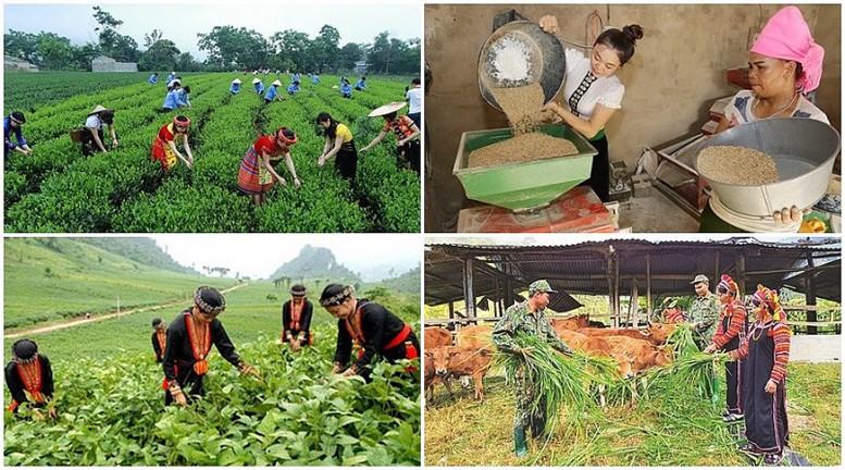Hoàn thiện hồ sơ dự thảo điều chỉnh CTMTQG phát triển KT-XH vùng dân tộc thiểu số và miền núi