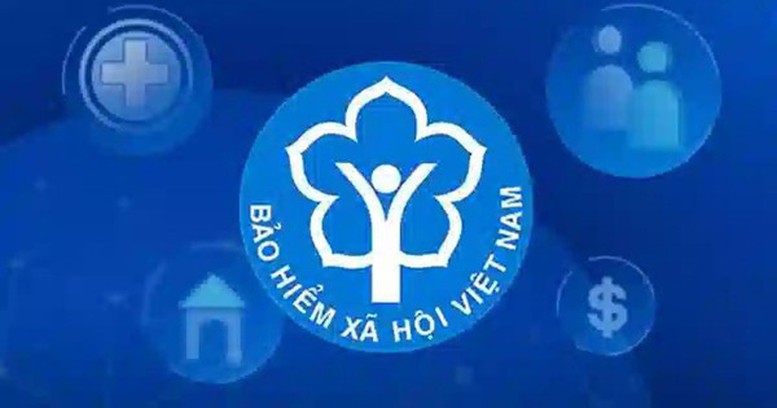 Trình tự, thủ tục thành lập Hội đồng quản lý bảo hiểm xã hội