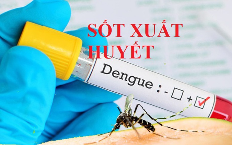 Tăng cường phòng, chống bệnh sốt xuất huyết