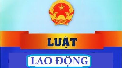Liên đoàn Lao động tỉnh triển khai thực hiện Bộ Luật Lao động số 45/2019/QH14