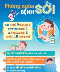 Ảnh 4