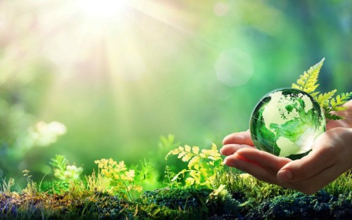 Sửa đổi, bổ sung một số quy định về bảo vệ môi trường